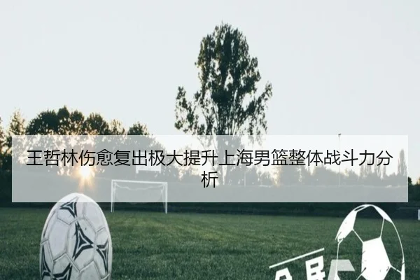 王哲林伤愈复出极大提升上海男篮整体战斗力分析