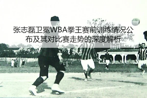 zhang-zhi-lei-wei-mian-quan-wang-sai-qian-xun-lian-qing-kuang-gong-bu-ji-qi-dui-bi-sai-zou-shi-de-shen-du-jie-xi-2-787.jpg